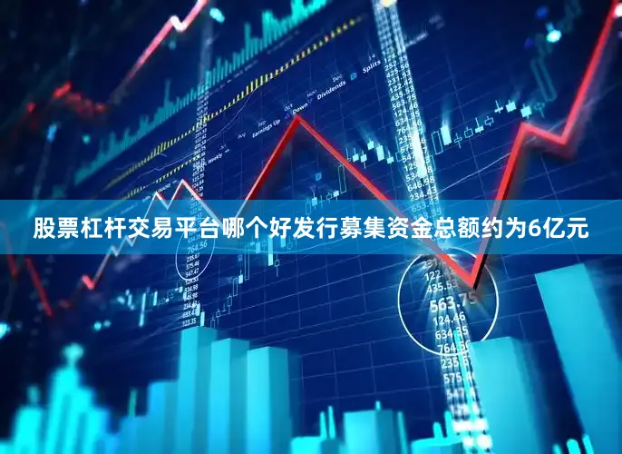 股票杠杆交易平台哪个好发行募集资金总额约为6亿元