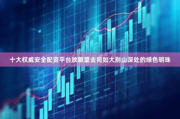 十大权威安全配资平台放眼望去宛如大别山深处的绿色明珠